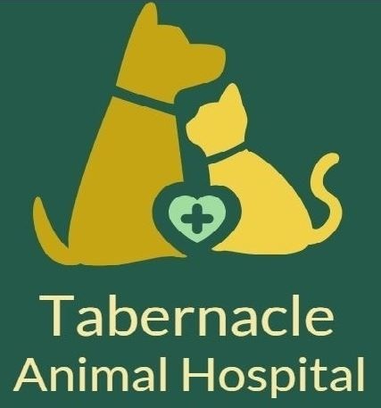 Tabernacle Animal Hospital